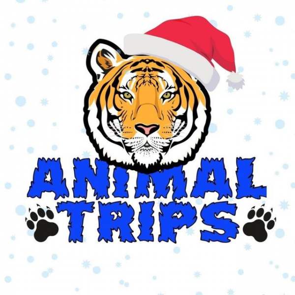 Перевозка животных Animal Trips