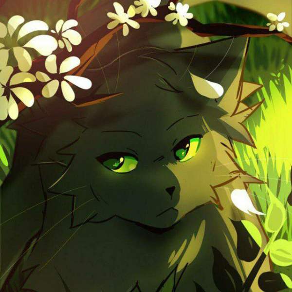 Warriors Cats | Коты - Воители