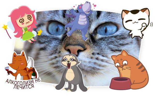 Telegram Stickers l Стикеры