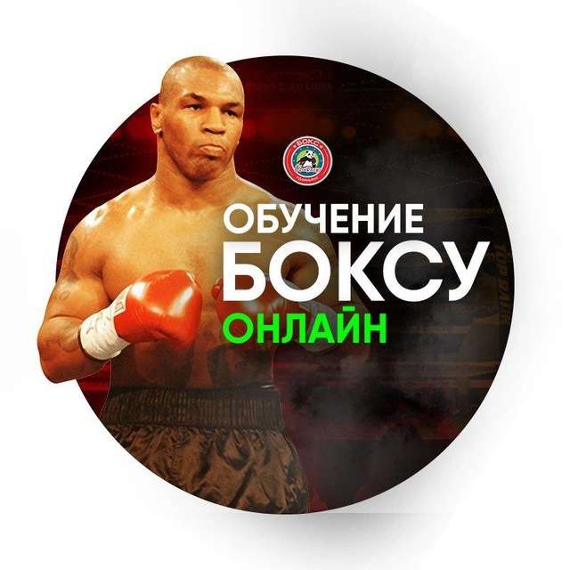 Обучение боксу